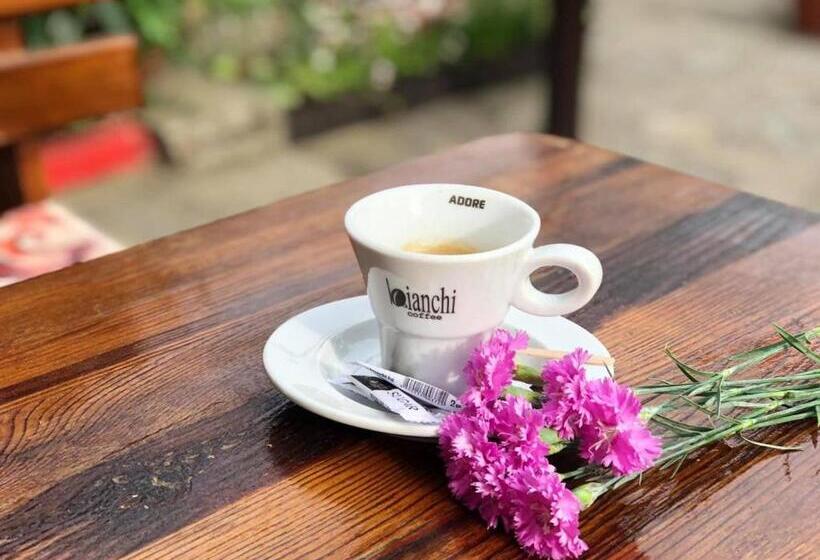 Junior Suite Deluxe, Meatsa