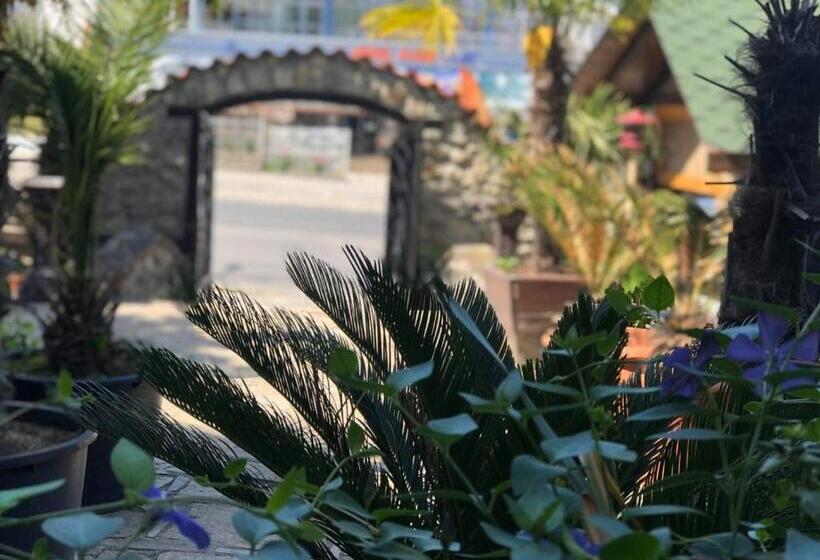 Junior Suite, Meatsa