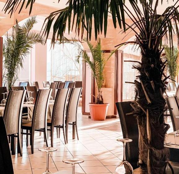 Junior Suite Deluxe, Meatsa