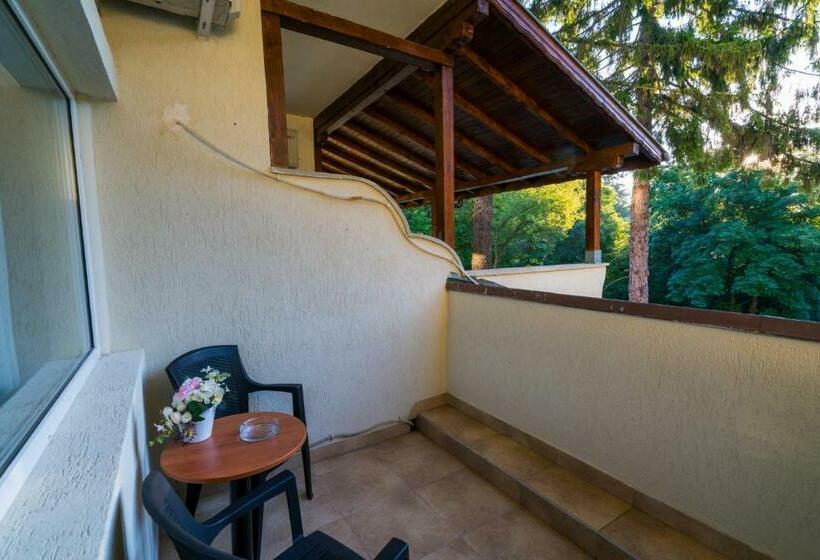 バルコニー付きスタンダードルーム, Family Park Hotel Kyoshkove