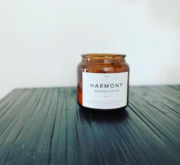 豪华房间, Bendigo Backpackers