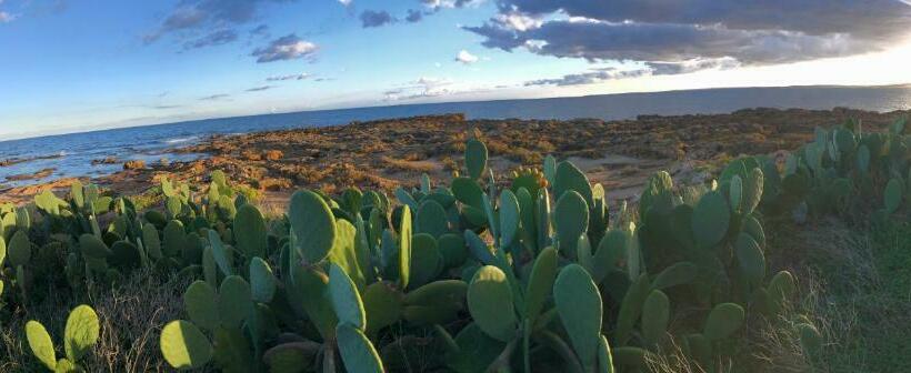 コンフォートトリプルルーム, La Madonnina