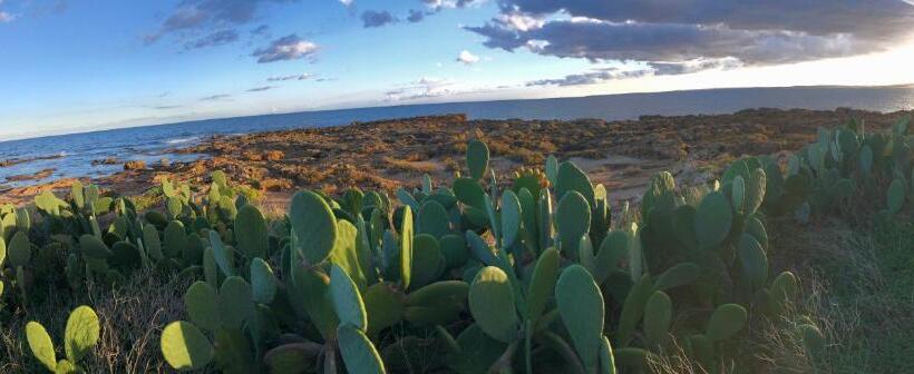 スタンダードルーム, La Madonnina