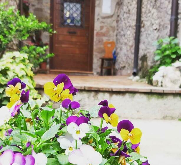 חדר סטנדרט, Rupe Antica