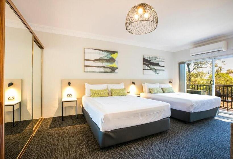 חדר סטודיו סטנדרד, Nightcap At Blue Cattle Dog