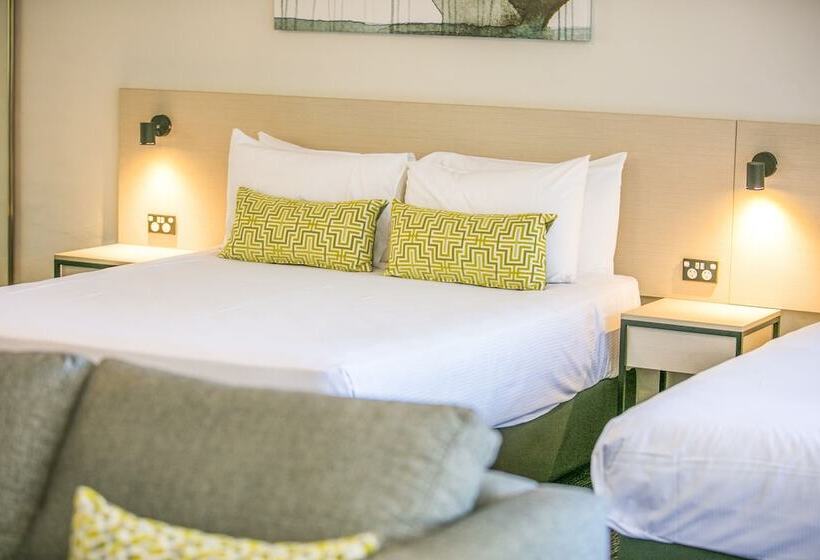 חדר סטודיו סטנדרד, Nightcap At Blue Cattle Dog