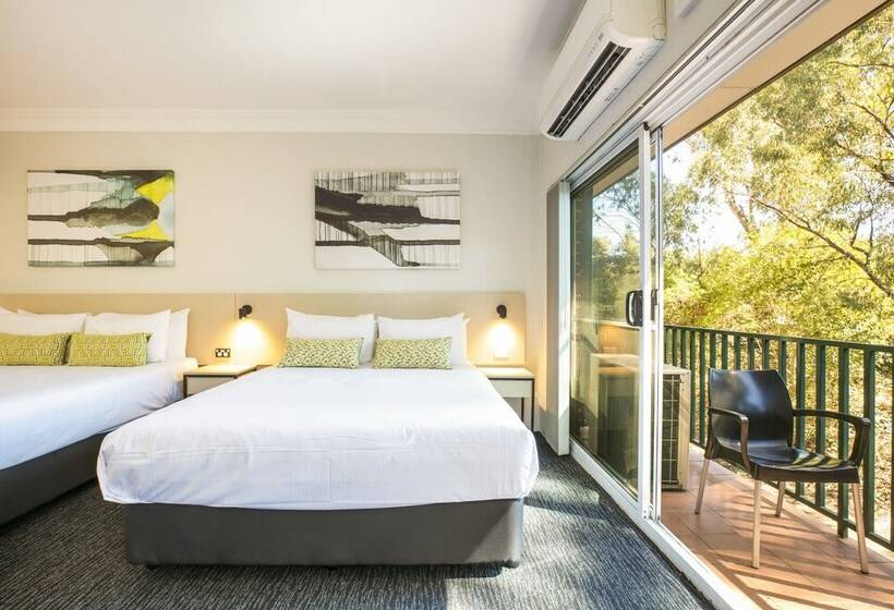 חדר סטודיו סטנדרד, Nightcap At Blue Cattle Dog