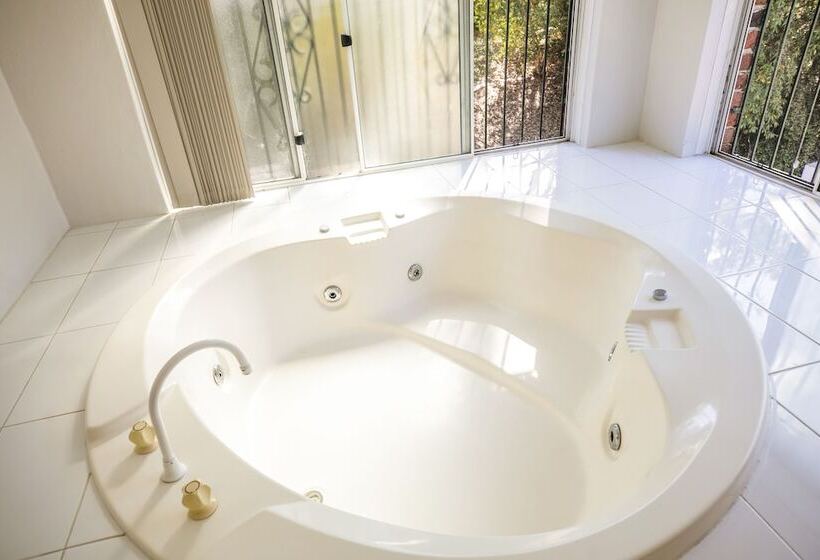 חדר סטודיו סטנדרד, Nightcap At Blue Cattle Dog