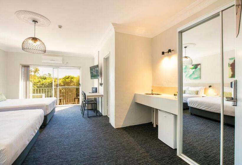 חדר סטודיו סטנדרד, Nightcap At Blue Cattle Dog