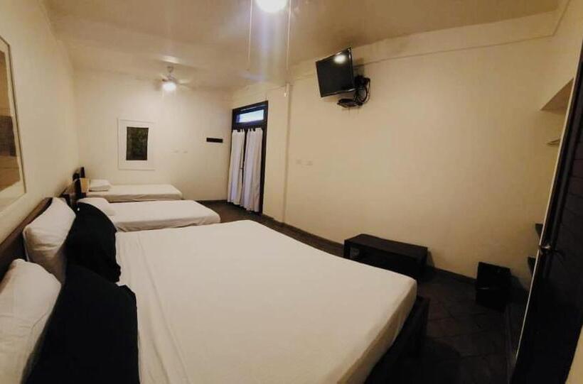 패밀리 룸, And Coffe Azul