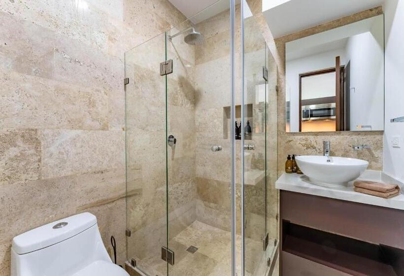 استودیو استاندارد با بالکن, Menesse Apartments