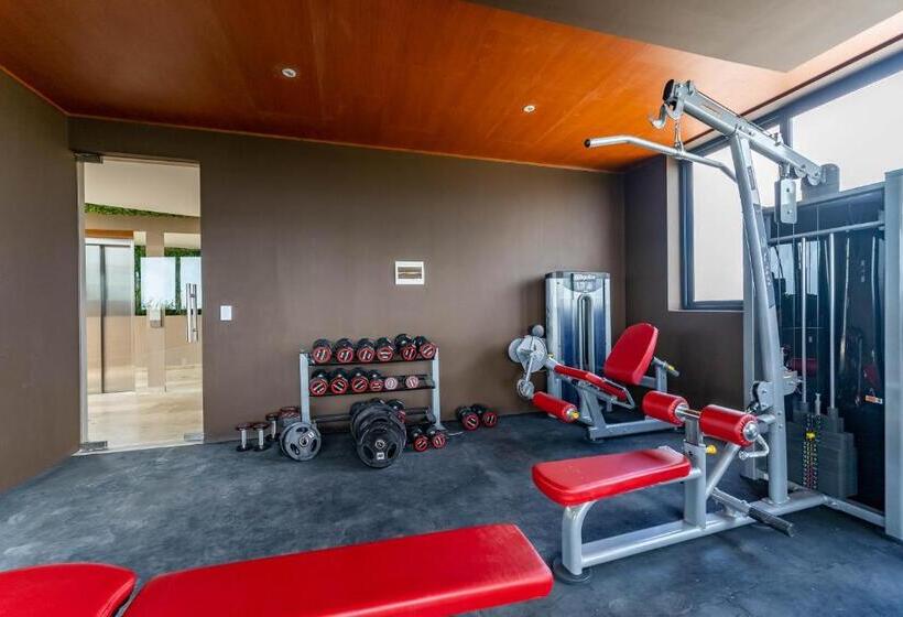 استودیو استاندارد با بالکن, Menesse Apartments