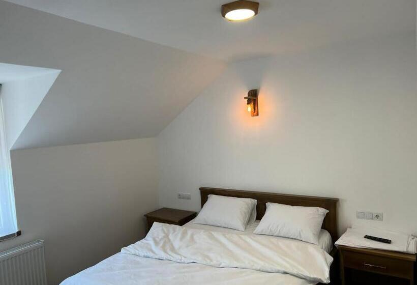 マウンテンビュースタンダードルーム, Pensiunea Mara Băile Botiza