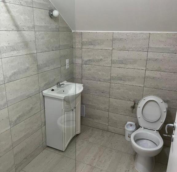 プールビュースタンダードルーム, Pensiunea Mara Băile Botiza