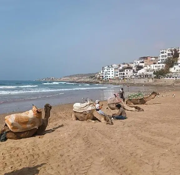 エコノミーシングルルーム, I Surf Morocco
