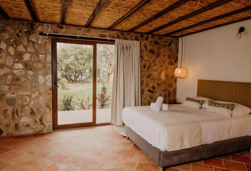 四人豪华间, Pietra