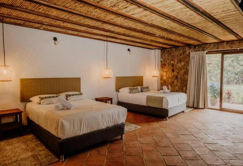 四人豪华间, Pietra