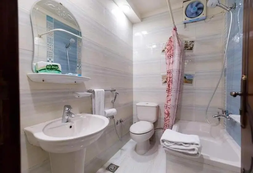 اتاق استاندارد یک نفره, Badr Hotel Assiut