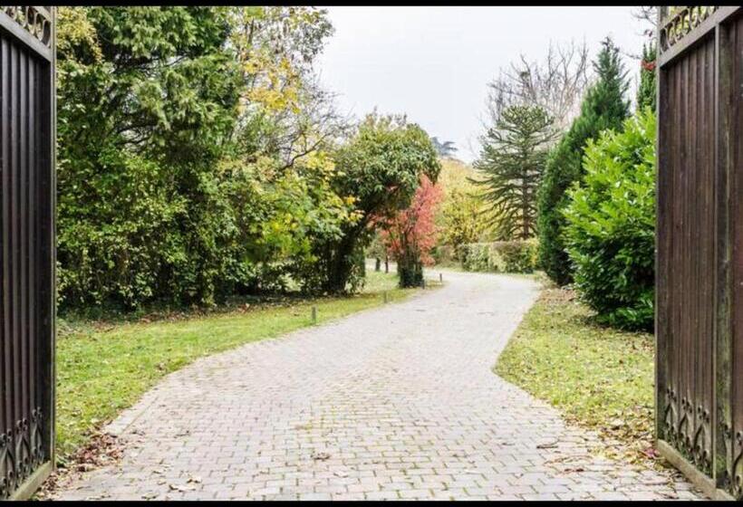 Номер Стандарт Вид на Озеро, Les Containers