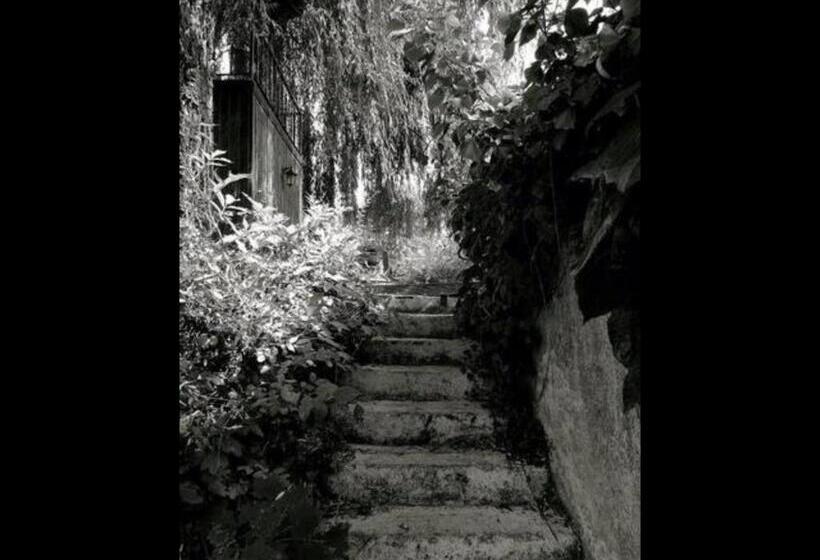 Номер Стандарт Вид на Озеро, Les Containers