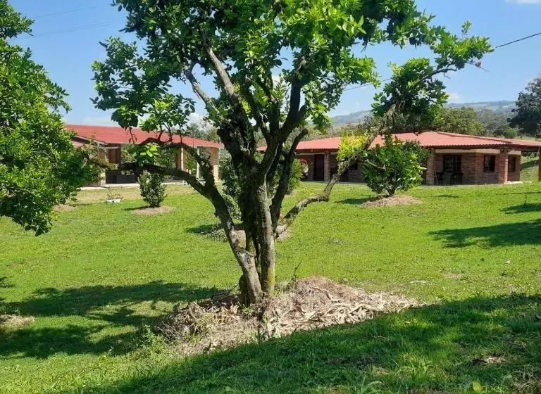 ガーデンビューファミリールーム, Hacienda Rosa Franca