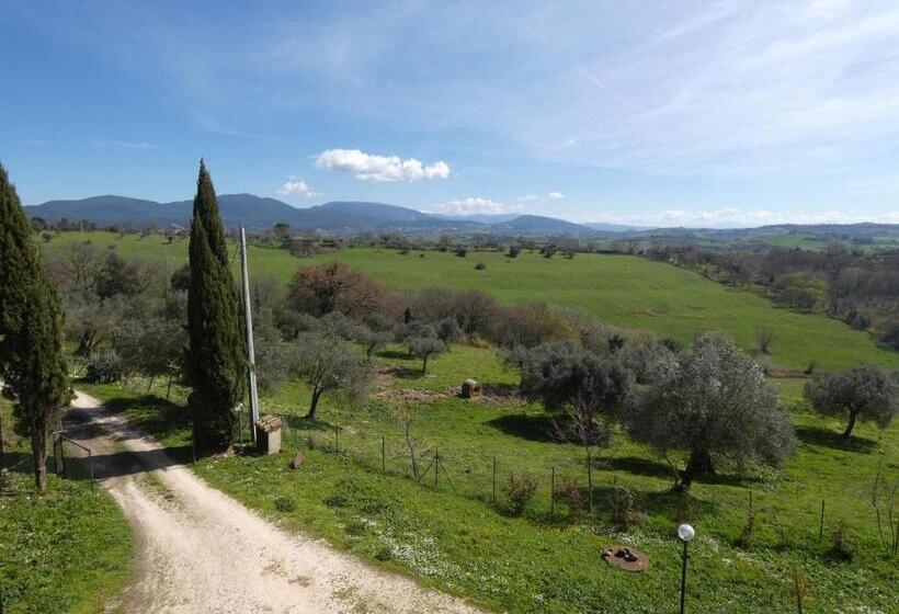 Семейный Номер, Scappo In Umbria, Collefiorito