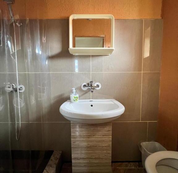 Номер Стандарт, Family S.e.t