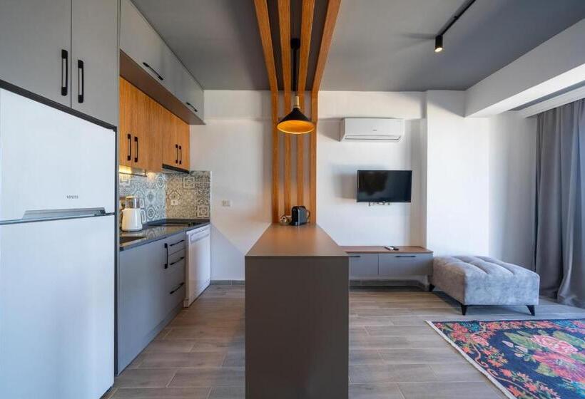 آپارتمان 1 خوابه با چشمانداز دریا, Argento Plazzo Hotel Bodrum