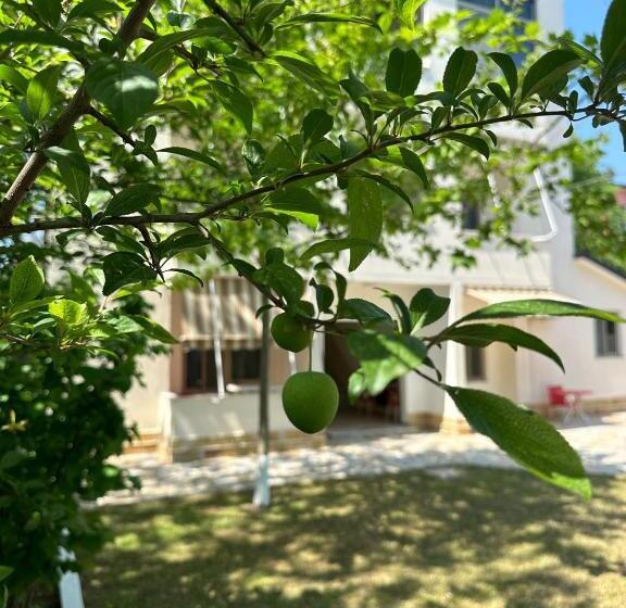 １ベッドルームアパートメント, Clarissa