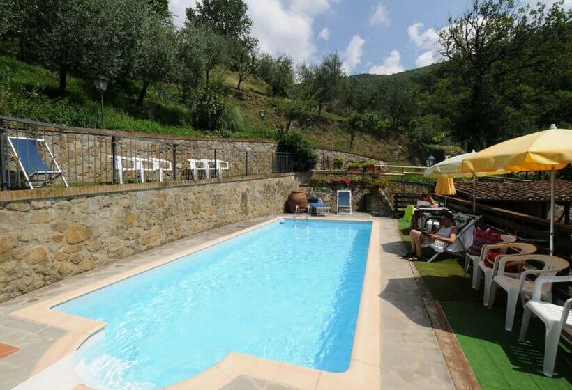 标准间带露台, Archimede