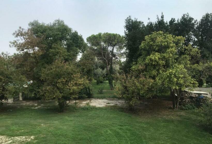 스탠다드 룸, Villa Carrer