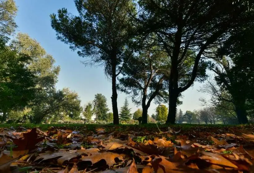 Basic-huone, Villa Carrer