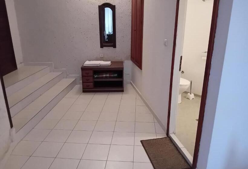 جناح, Yankee Bohemia