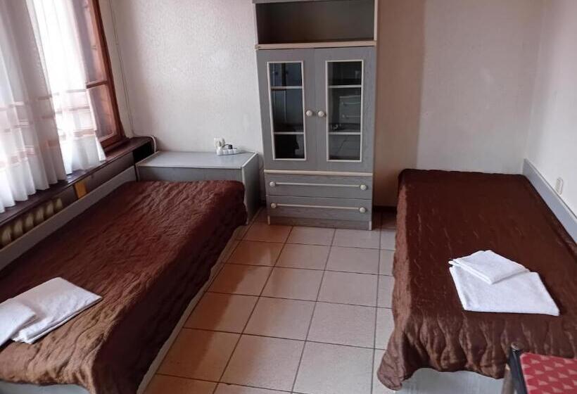 غرفة قياسية, Yankee Bohemia