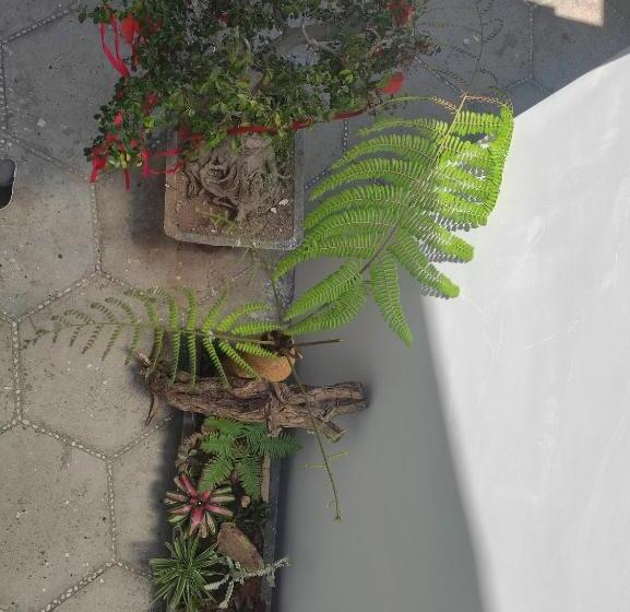 اتاق استاندارد با تخت بزرگ, New Wave Homestay