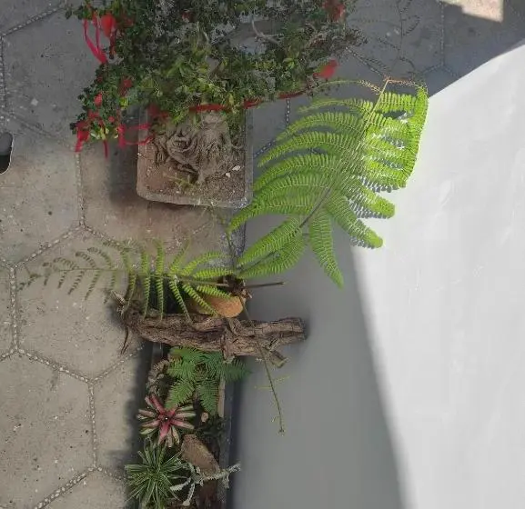 اتاق استاندارد با تخت بزرگ, New Wave Homestay