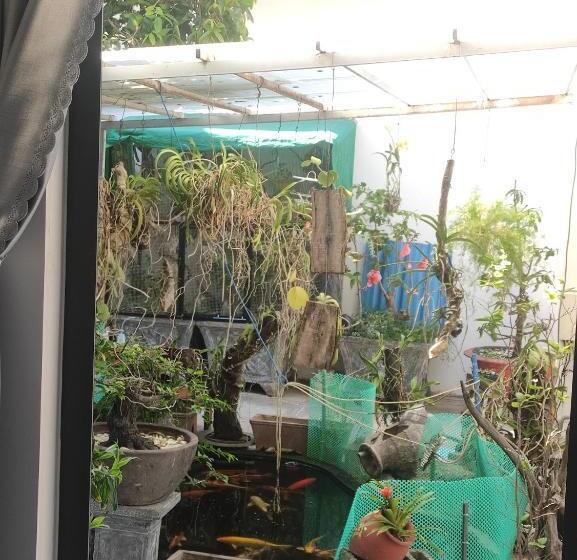 اتاق استاندارد, New Wave Homestay