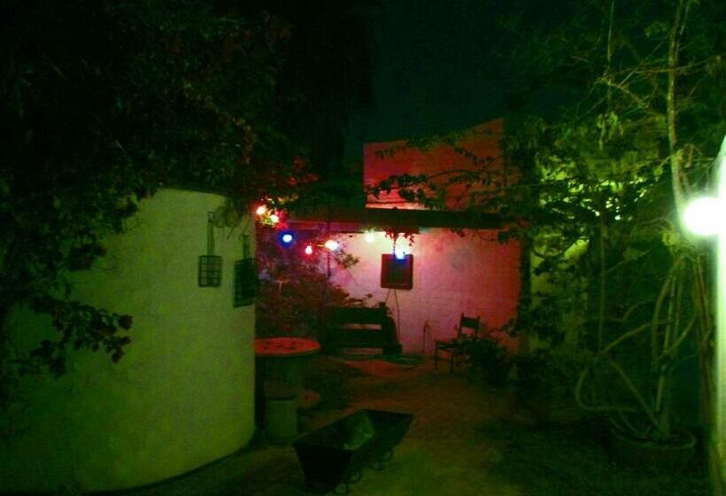 标准单人间, Alternative Space B & B