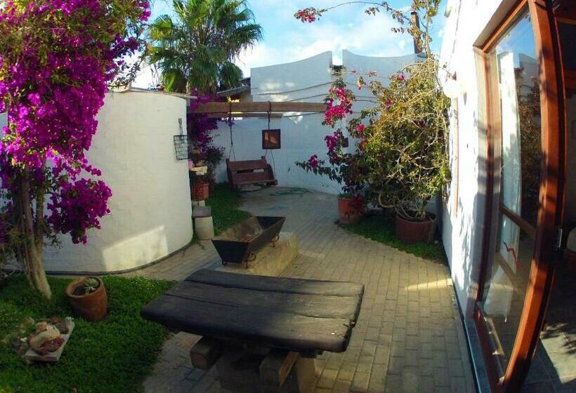 标准单人间, Alternative Space B & B