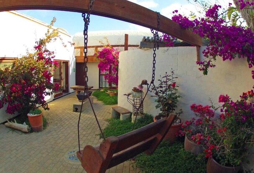 经济房, Alternative Space B & B