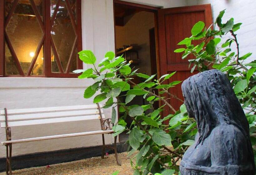 经济房, Alternative Space B & B