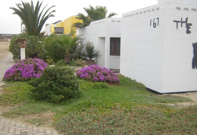 اتاق اکونومی, Alternative Space B & B