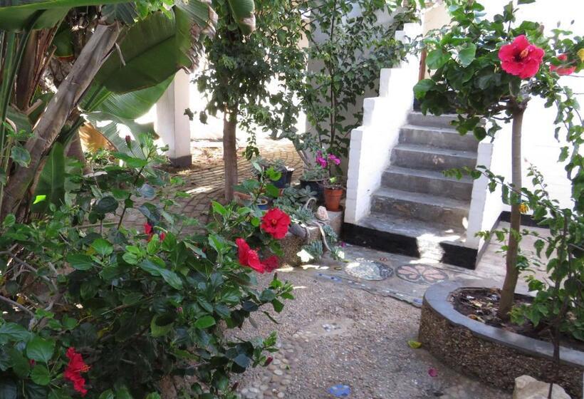 اتاق اکونومی, Alternative Space B & B