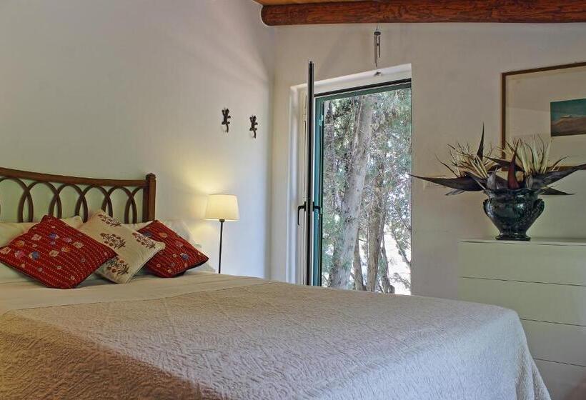 小室, B&b Don Gaspano