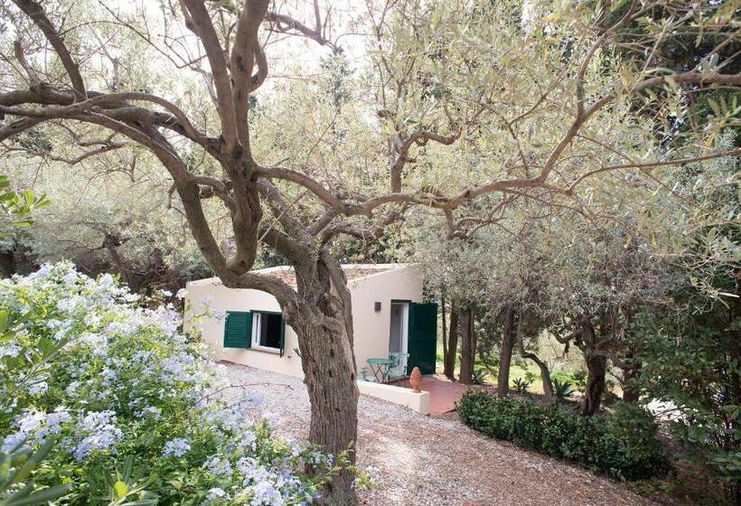 小室, B&b Don Gaspano