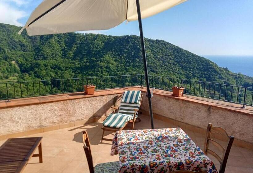 דירת חדר עם טרסה, A Taverna Intru U Vicu