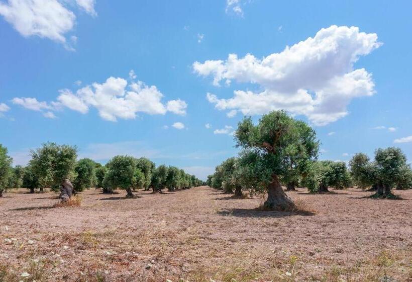 غرفة قياسية فردية, Bed And Breakfast Cairoli Exclusive Room