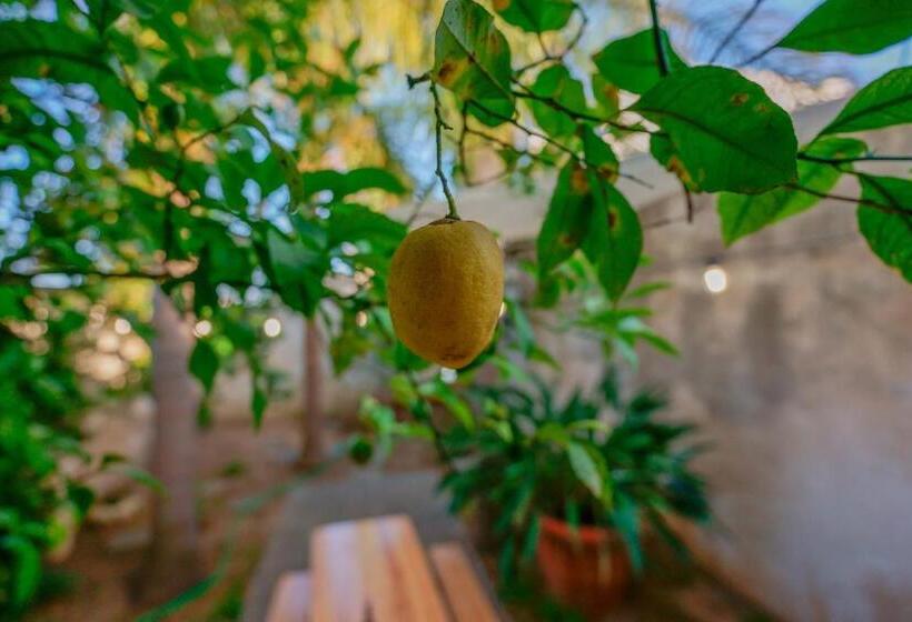 غرفة قياسية فردية, Bed And Breakfast Cairoli Exclusive Room