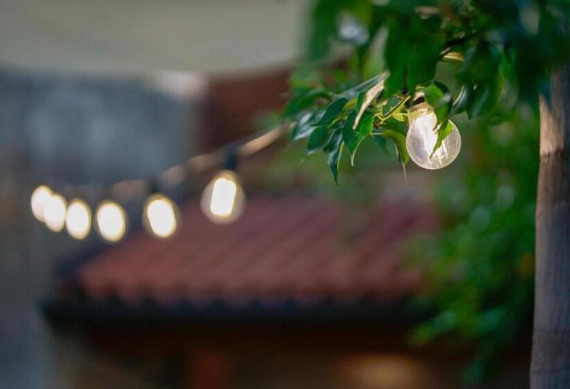 غرفة قياسية فردية, Bed And Breakfast Cairoli Exclusive Room