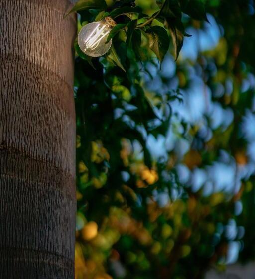 غرفة قياسية فردية, Bed And Breakfast Cairoli Exclusive Room